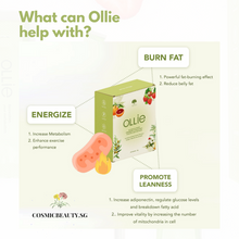 Load image into Gallery viewer, Ollie helps you to achieve powerful fat burning effect and reduce belly fat. Ollie helps promote leanness and regulate glucose levels and breakdown fatty acid. Not only that, Ollie helps to energize you by ncreasing your metabolism, this helps enhance exercise performance!
