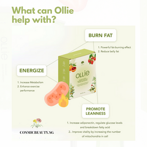 Ollie helps you to achieve powerful fat burning effect and reduce belly fat. Ollie helps promote leanness and regulate glucose levels and breakdown fatty acid. Not only that, Ollie helps to energize you by ncreasing your metabolism, this helps enhance exercise performance!