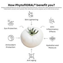 Load image into Gallery viewer, Phyto+ Whitening drink - Years of proven efficacy. Multiple skin health ingredients, especially so-called ‘skin-whitening’ materials, are unsafe for use. This is why it was vital to develop a safe, research-backed natural ingredient like PhytoflORAL.
